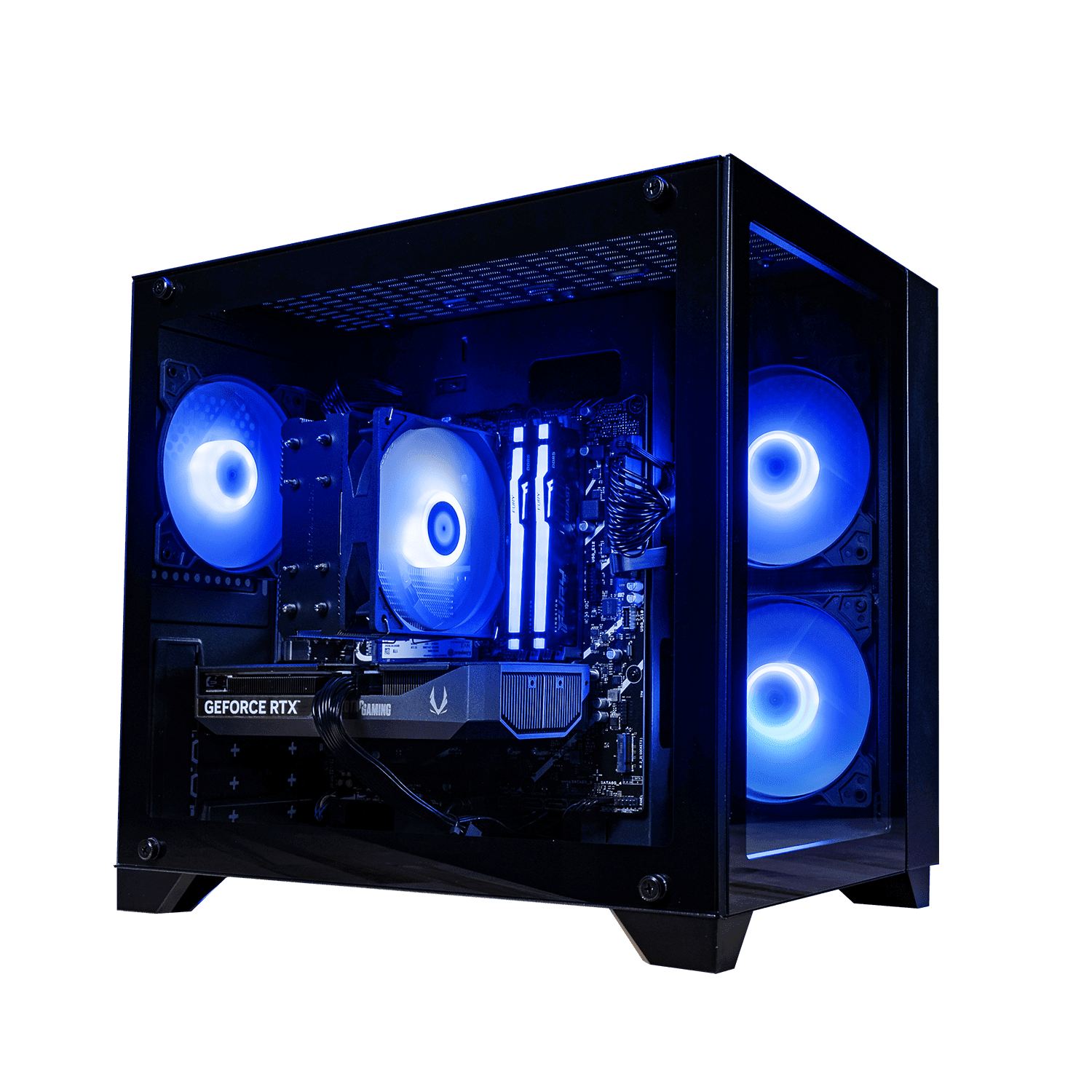 EMBER50